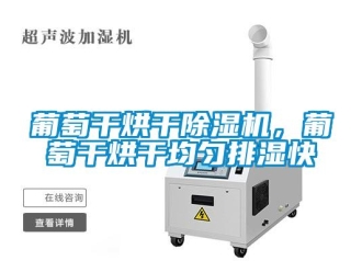 行业新闻葡萄干烘干除湿机，葡萄干烘干均匀排湿快