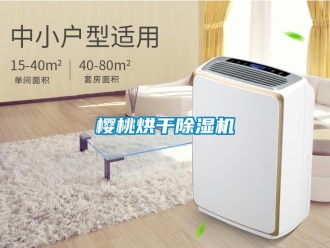 知识百科樱桃烘干除湿机