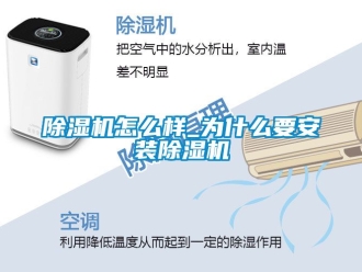 行业新闻除湿机怎么样_为什么要安装除湿机