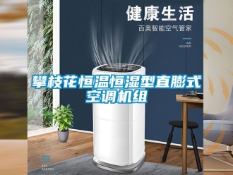 知识百科攀枝花恒温恒湿型直膨式空调机组