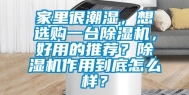 家里很潮湿，想选购一台除湿机，好用的推荐？除湿机作用到底怎么样？