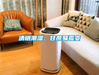 行业新闻清明潮湿，甘蔗易霉变