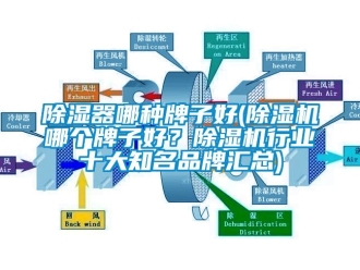 企业新闻除湿器哪种牌子好(除湿机哪个牌子好？除湿机行业十大知名品牌汇总)