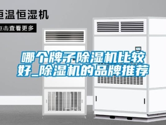 企业新闻哪个牌子除湿机比较好_除湿机的品牌推荐