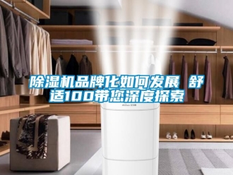 企业新闻除湿机品牌化如何发展　　舒适100带您深度探索