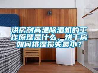 行业新闻烘房耐高温除湿机的工作原理是什么，烘干房如何排湿损失最小？