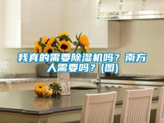 行业新闻我真的需要除湿机吗？南方人需要吗？(图)