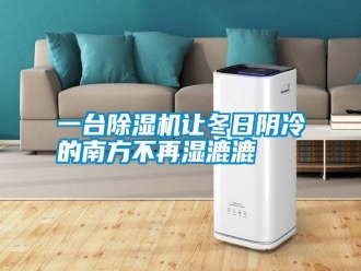知识百科一台除湿机让冬日阴冷的南方不再湿漉漉
