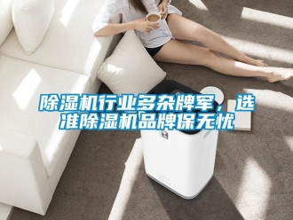 企业新闻除湿机行业多杂牌军，选准除湿机品牌保无忧