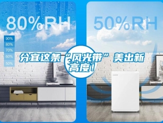 企业新闻分宜这条“风光带”美出新高度！