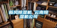 新风除湿机 云南除湿机公司