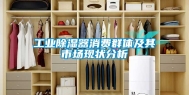 工业除湿器消费群体及其市场现状分析