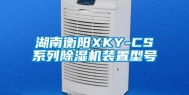 湖南衡阳XKY-CS系列除湿机装置型号
