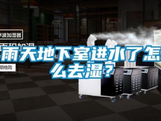 常见问题雨天地下室进水了怎么去湿？