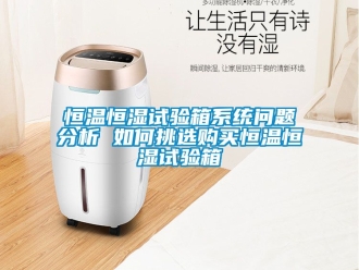 知识百科恒温恒湿试验箱系统问题分析 如何挑选购买恒温恒湿试验箱