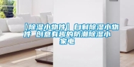 【除湿小物件】自制除湿小物件 创意有趣的防潮除湿小家电