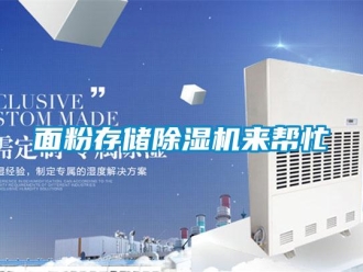 行业新闻面粉存储除湿机来帮忙