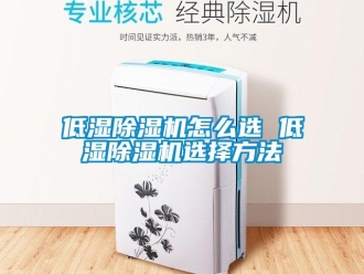 行业新闻低湿除湿机怎么选 低湿除湿机选择方法