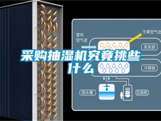企业新闻采购抽湿机究竟挑些什么