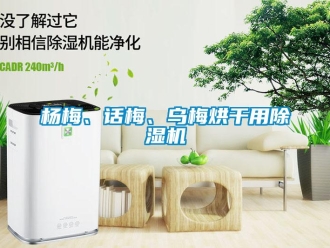 知识百科杨梅、话梅、乌梅烘干用除湿机