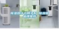 除湿器什么牌子好 除湿器品牌推荐