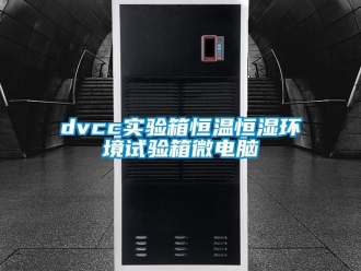 常见问题dvcc实验箱恒温恒湿环境试验箱微电脑