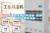鸡蛋纸托烘干除湿机 纸制品烘干房除湿机