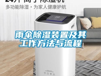 行业新闻雨伞除湿装置及其工作方法与流程