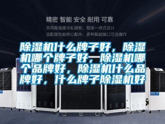 企业新闻除湿机什么牌子好，除湿机哪个牌子好，除湿机哪个品牌好，除湿机什么品牌好，什么牌子除湿机好