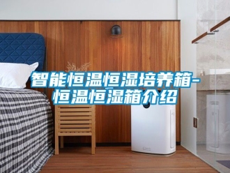 知识百科智能恒温恒湿培养箱-恒温恒湿箱介绍