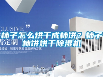 行业新闻柿子怎么烘干成柿饼？柿子柿饼烘干除湿机
