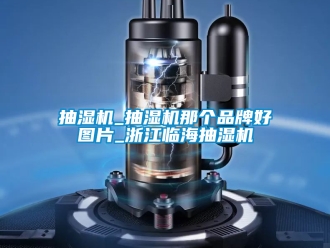 企业新闻抽湿机_抽湿机那个品牌好图片_浙江临海抽湿机