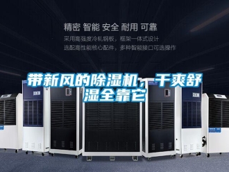 企业新闻带新风的除湿机，干爽舒湿全靠它