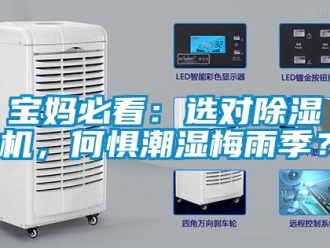 常见问题宝妈必看：选对除湿机，何惧潮湿梅雨季？