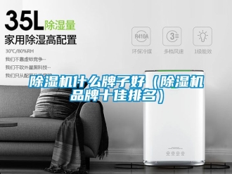 企业新闻除湿机什么牌子好（除湿机品牌十佳排名）