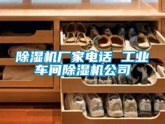 企业新闻除湿机厂家电话 工业车间除湿机公司