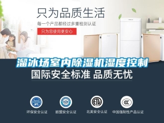 行业新闻溜冰场室内除湿机湿度控制