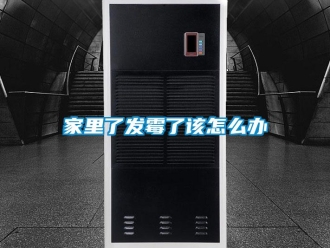 常见问题家里了发霉了该怎么办