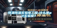 恒温恒湿实验室工程-什么是p2实验室？