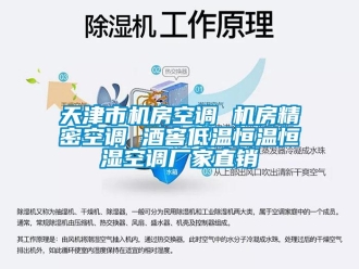 知识百科天津市机房空调 机房精密空调 酒窖低温恒温恒湿空调厂家直销
