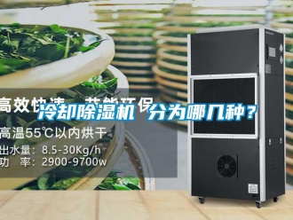 行业新闻冷却除湿机 分为哪几种？
