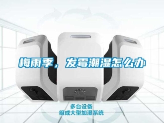 常见问题梅雨季，发霉潮湿怎么办