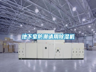 企业新闻地下室防潮请用除湿机