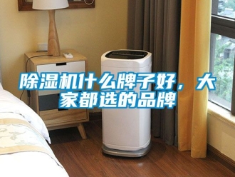 企业新闻除湿机什么牌子好，大家都选的品牌