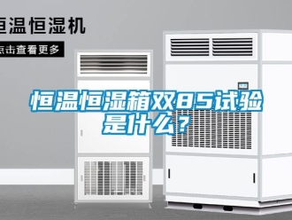 知识百科恒温恒湿箱双85试验是什么？