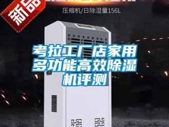 行业新闻考拉工厂店家用多功能高效除湿机评测