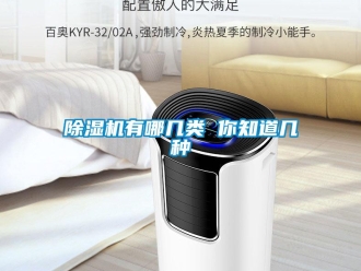 企业新闻除湿机有哪几类 你知道几种