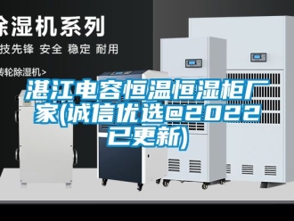 知识百科湛江电容恒温恒湿柜厂家(诚信优选@2022已更新)