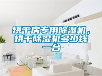 行业新闻烘干房专用除湿机，烘干除湿机多少钱一台