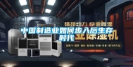 中国制造业如何步入后生存时代